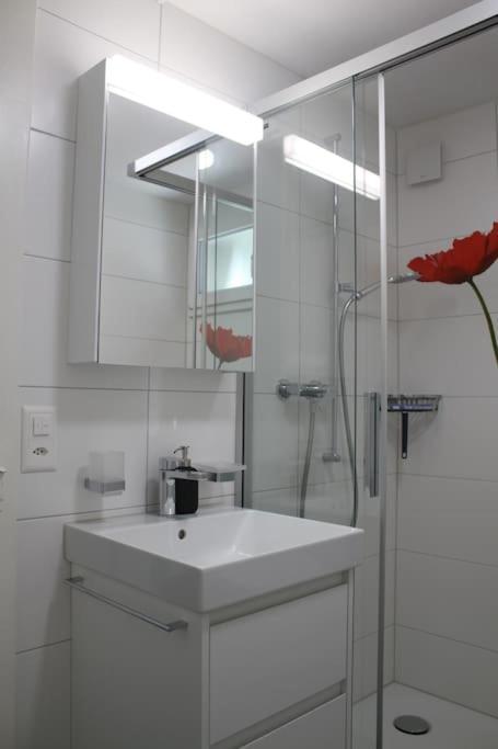 Apartamento Neb-thun Am Thunersee